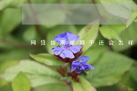 网贷如果逾期不还会怎样