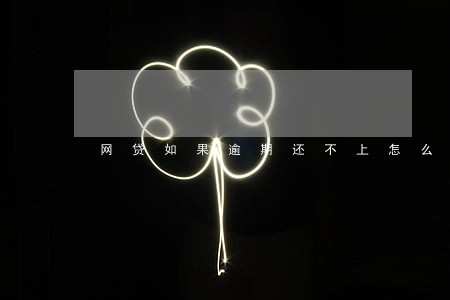 网贷如果逾期还不上怎么办 网贷如果逾期还不上怎么办