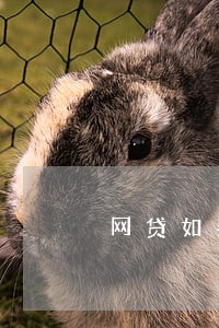 网贷如果逾期还款会怎么样 网贷如果逾期还款会怎么样