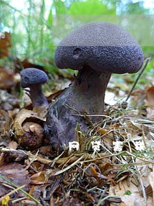 网贷害我征信逾期 网贷害我征信逾期