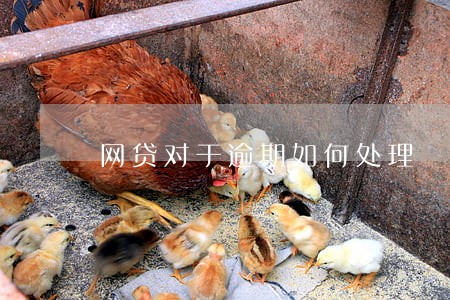 网贷对于逾期如何处理 网贷对于逾期如何处理