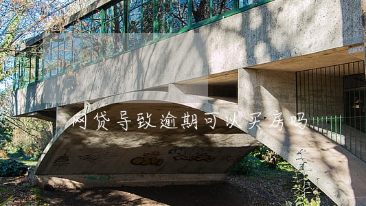 网贷导致逾期可以买房吗 网贷导致逾期可以买房吗