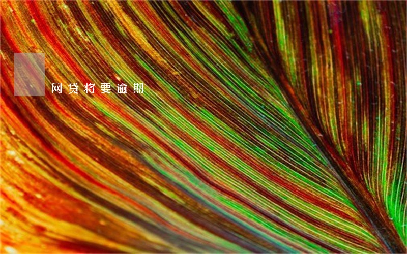 网贷将要逾期 网贷将要逾期