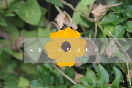 网贷小伙逾期还款 网贷小伙逾期还款