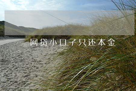 网贷小口子只还本金