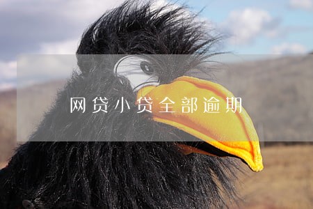 网贷小贷全部逾期 网贷小贷全部逾期