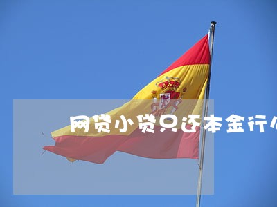 网贷小贷只还本金行么 网贷小贷只还本金行么