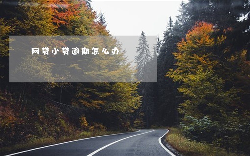 网贷小贷逾期怎么办 网贷小贷逾期怎么办