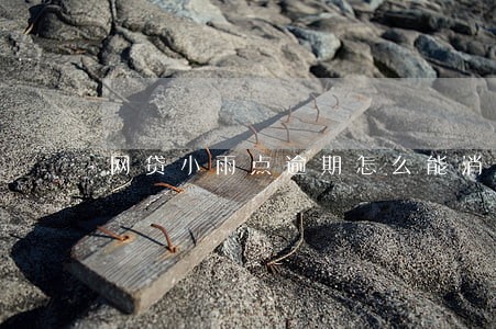 网贷小雨点逾期怎么能消除 网贷小雨点逾期怎么能消除