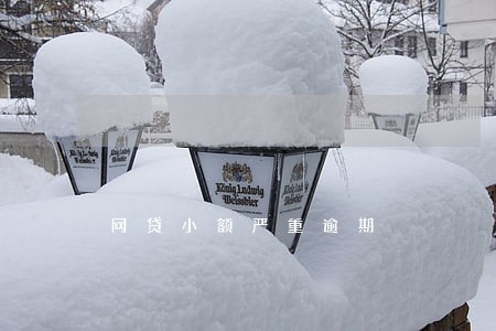 网贷小额严重逾期 网贷小额严重逾期