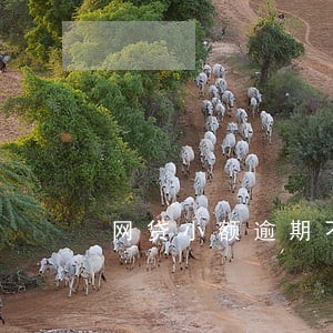 网贷小额逾期不还怎么样 网贷小额逾期不还怎么样