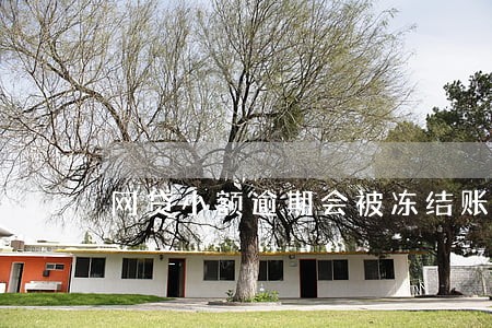 网贷小额逾期会被冻结账户吗 网贷小额逾期会被冻结账户吗