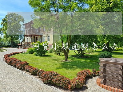 网贷小额逾期怎么办 网贷小额逾期怎么办