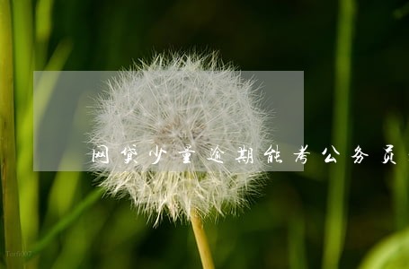 网贷少量逾期能考公务员么 网贷少量逾期能考公务员么