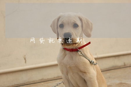 网贷就要逾期 网贷就要逾期