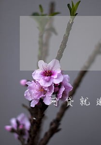 网贷就逾期过一次