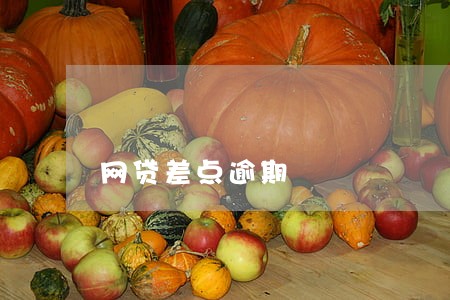 网贷差点逾期