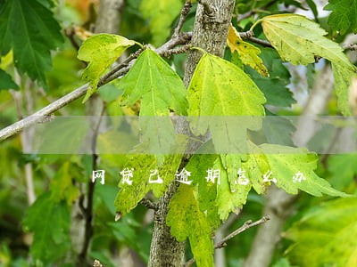 网贷己逾期怎么办 网贷己逾期怎么办