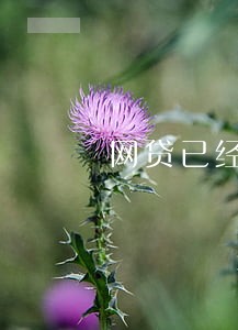 网贷已经全面逾期 网贷已经全面逾期