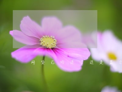 网贷已经还了还是显示逾期 网贷已经还了还是显示逾期