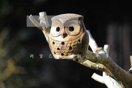 网贷已经逾期1年多 网贷已经逾期1年多