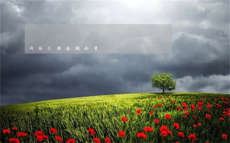 网贷已经逾期两年 网贷已经逾期两年