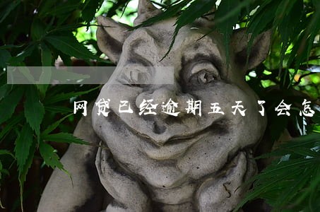 网贷已经逾期五天了会怎么样 网贷已经逾期五天了会怎么样