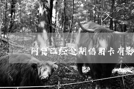 网贷已经逾期信用卡有影响吗 网贷已经逾期信用卡有影响吗