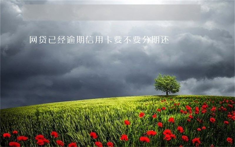 网贷已经逾期信用卡要不要分期还 网贷已经逾期信用卡要不要分期还