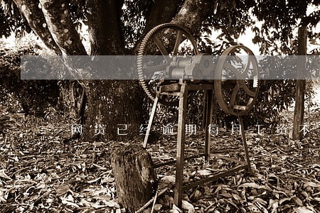 网贷已经逾期每月工资不够还 网贷已经逾期每月工资不够还
