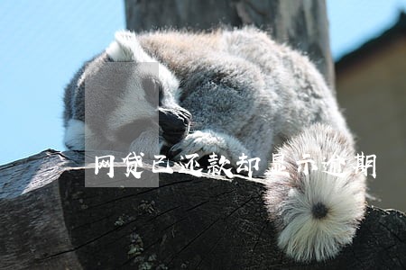 网贷已还款却显示逾期 网贷已还款却显示逾期