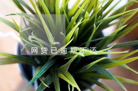 网贷已逾期不还 网贷已逾期不还