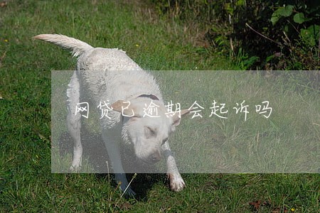 网贷已逾期会起诉吗