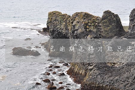 网贷已逾期怎样才能只还本金 网贷已逾期怎样才能只还本金