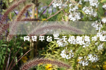 网贷平台一千逾期会咋样 网贷平台一千逾期会咋样