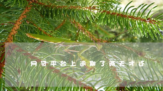 网贷平台上逾期了两天才还 网贷平台上逾期了两天才还