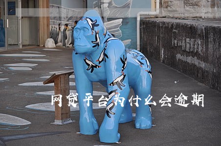 网贷平台为什么会逾期 网贷平台为什么会逾期