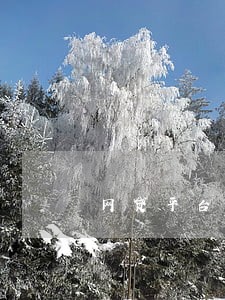 网贷平台倒闭导致还款逾期 网贷平台倒闭导致还款逾期