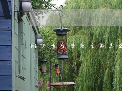 网贷平台借款逾期怎么办 网贷平台借款逾期怎么办