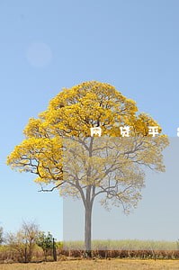 网贷平台借钱逾期怎么办 网贷平台借钱逾期怎么办