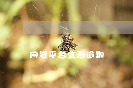 网贷平台全面逾期 网贷平台全面逾期