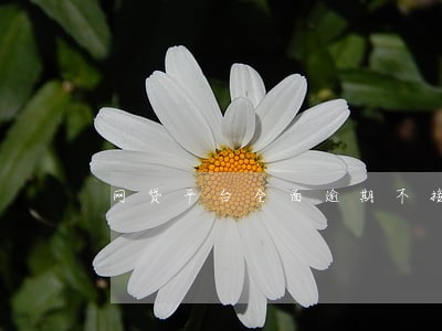 网贷平台全面逾期不接电话
