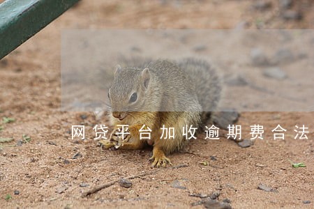 网贷平台加收逾期费合法吗 网贷平台加收逾期费合法吗