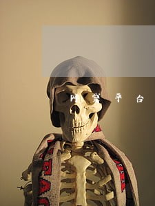 网贷平台可以每个月逾期吗 网贷平台可以每个月逾期吗