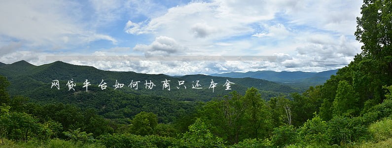 网贷平台如何协商只还本金 网贷平台如何协商只还本金