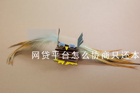 网贷平台怎么协商只还本金 网贷平台怎么协商只还本金