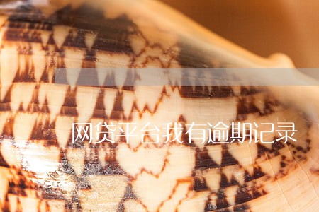 网贷平台我有逾期记录 网贷平台我有逾期记录