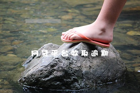 网贷平台收取逾期