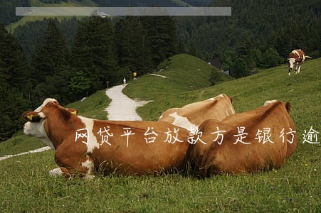 网贷平台放款方是银行逾期了 网贷平台放款方是银行逾期了