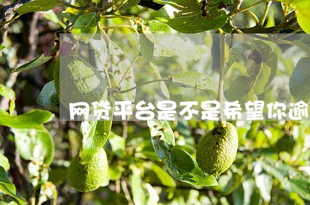 网贷平台是不是希望你逾期 网贷平台是不是希望你逾期